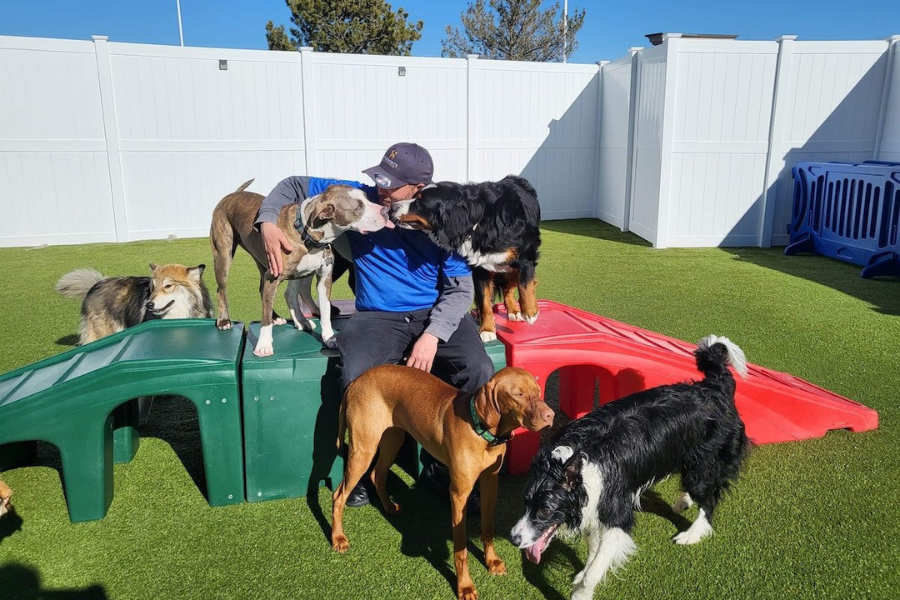 Dog kennel with staff member.
